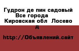 Гудрон де пин садовый - Все города  »    . Кировская обл.,Лосево д.